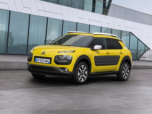 C4 Cactus